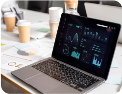 data analysts
